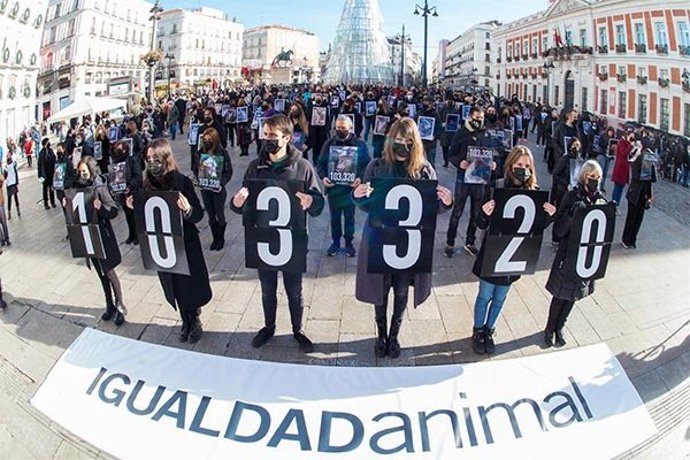 Activistas exigen en la Puerta del Sol el fin del "sufrimiento extremo" que padecen los animales en los mataderos