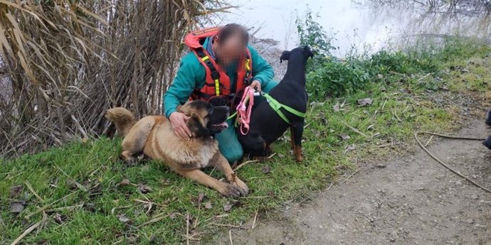 GEAS de la Guardia Civil rescatan a dos perros atrapados en una casa de campo en Alfaro tras la crecida del Ebro