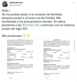 Tuit de la procuradora no adscrita María Montero.