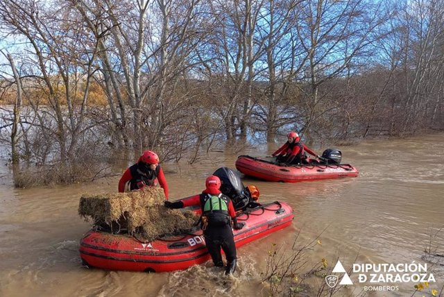Los bomberos de la DPZ llevan comida en barca a animales de las explotaciones de Alcalá por la riada.