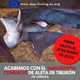 Archivo - Cartel de la iniciativa ciudadana 'Stop finning-stop the trade' para prohibir el comercio de aletas de tiburón en Europa.