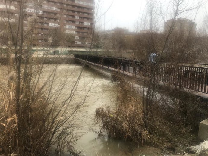 El Bernesga a su paso por León.