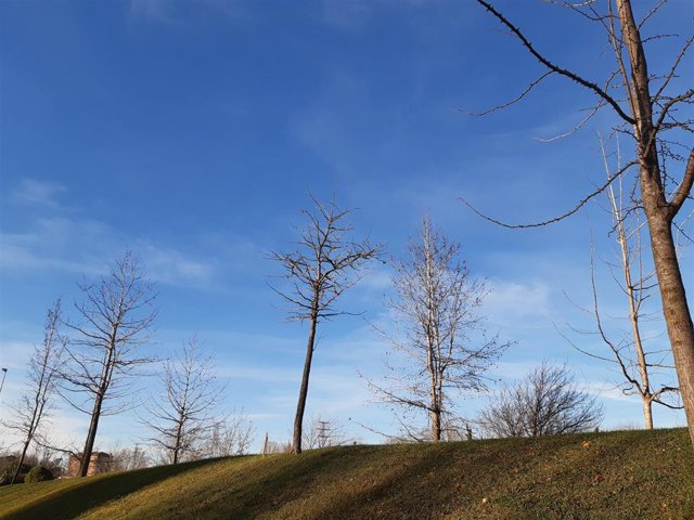 Cielos despejados en Bizkaia.