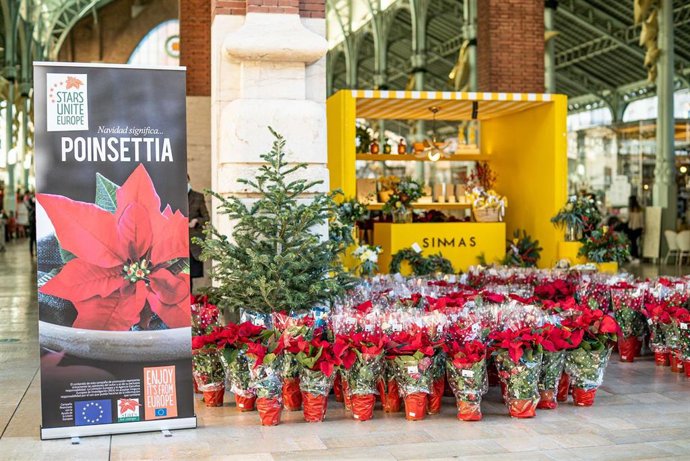 Archivo - Flores rojas en el Mercado de Colón
