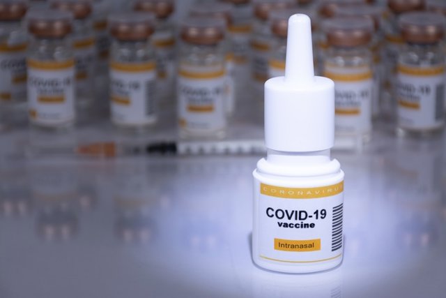 La Vacuna Nasal Puede Ayudar A Combatir Las Nuevas Variantes Del SARS Cov 2