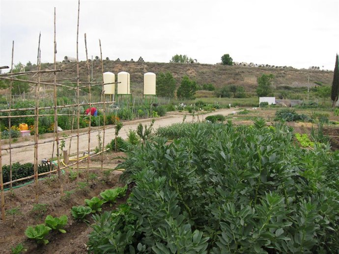 Archivo - Huertos urbanos en Logroño