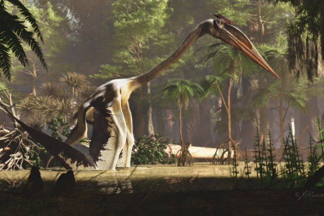 Interpretación de un artista de Quetzalcoatlus northropi, un tipo de pterosaurio y el animal volador más grande que jamás haya existido en la Tierra.