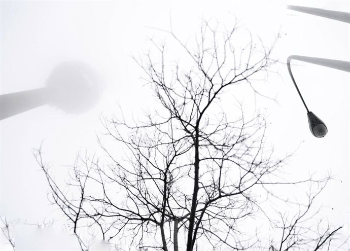 Imagen de archivo de niebla. 