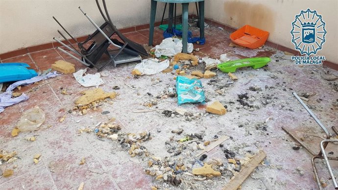 Situación en la que se encontraba la azotea del edificio en la que había un perro en condiciones de abandono e insalubridad