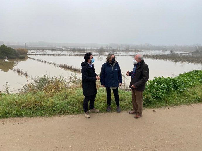 Visita de consejeros de Transición Ecológica y Agricultura a los cultivos inundados de Alfaro