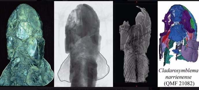 Escáner CT del fósil sometido a estudio