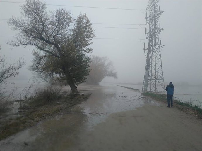 Endesa ha realizado desde el pasado viernes más de cien intervenciones para garantizar el suministro eléctrico en todas las localidades de la provincia de Zaragoza afectadas por la crecida del Ebro.