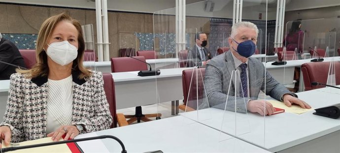 La diputada del Grupo Parlamentario Socialista Rosalía Casado