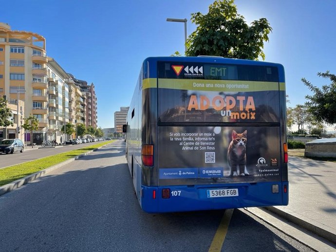 Bus de la EMT Palma con el cartel de la campaña 'Adopta un gato'.