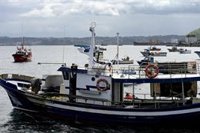 La Xunta lamenta los "resultados muy escasos" en el reparto de cuotas de 2022