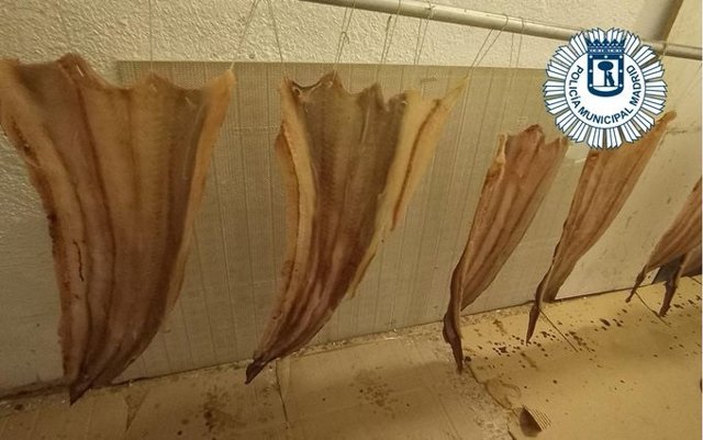 Alimentos intervenidos en una tienda de alimentación de Carabanchel