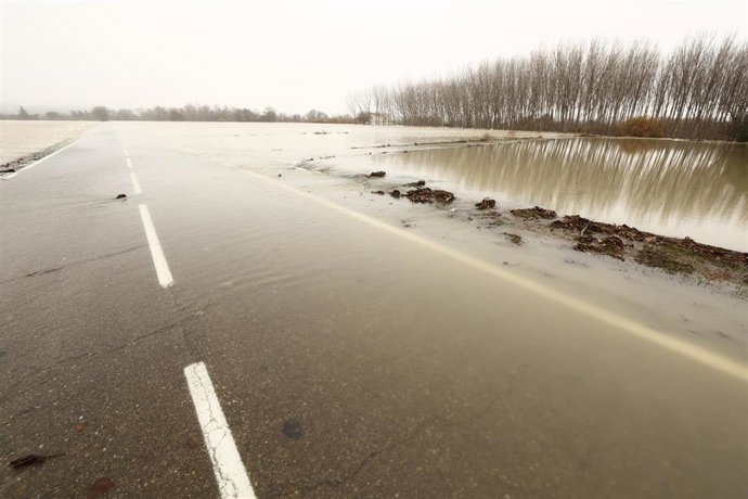 La crecida extraordinaria del río Ebro llega a una carretera, a 13 de diciembre de 2021, en Gallur, Zaragoza, Aragón (España). La punta de la crecida extraordinaria del río Ebro se aproxima a la comunidad aragonesa y para ello, los profesionales y admin
