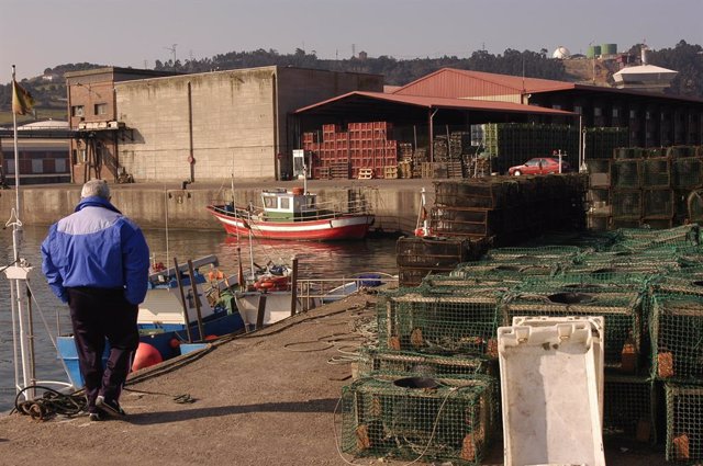 Archivo -     El Director General de Pesca, Marcelino Menéndez Cuervo, ha propuesto a la Secretaria General del Mar, Alicia Villauriz, dos opciones que permitan a las embarcaciones de palangre de fondo y artes menores continuar pescando merluza pese a que