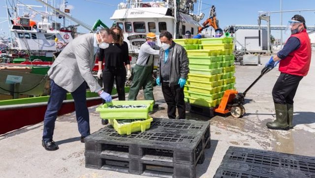 Archivo - Pesca.- Cantabria pide a Planas mecanismos para incrementar las cuotas pesqueras y evitar efectos "muy negativos"