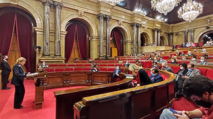 La diputada de Vox en el Parlament María Elisa García en el debate de salud mental en el pleno del Parlament