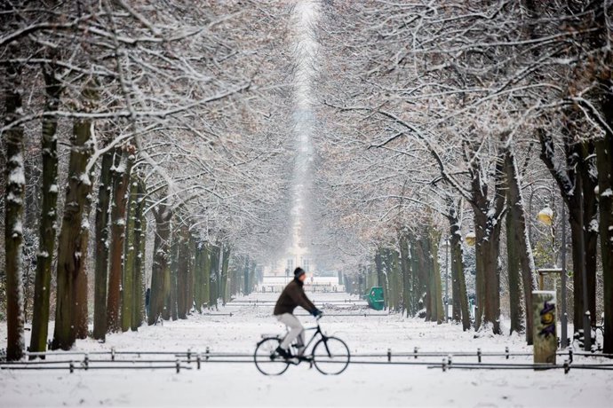 Imagen de archivo del parque Tiergarten de Berlín en invierno.