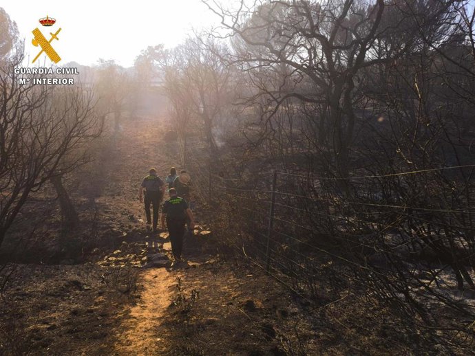 Archivo - Paraje forestal del Puerto del Calatraveño, en el término municipal de Alcaracejos, afectado por el incendio.