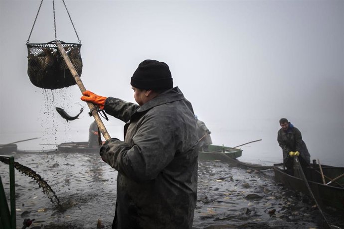 Archivo - Pescadores en República Checa.