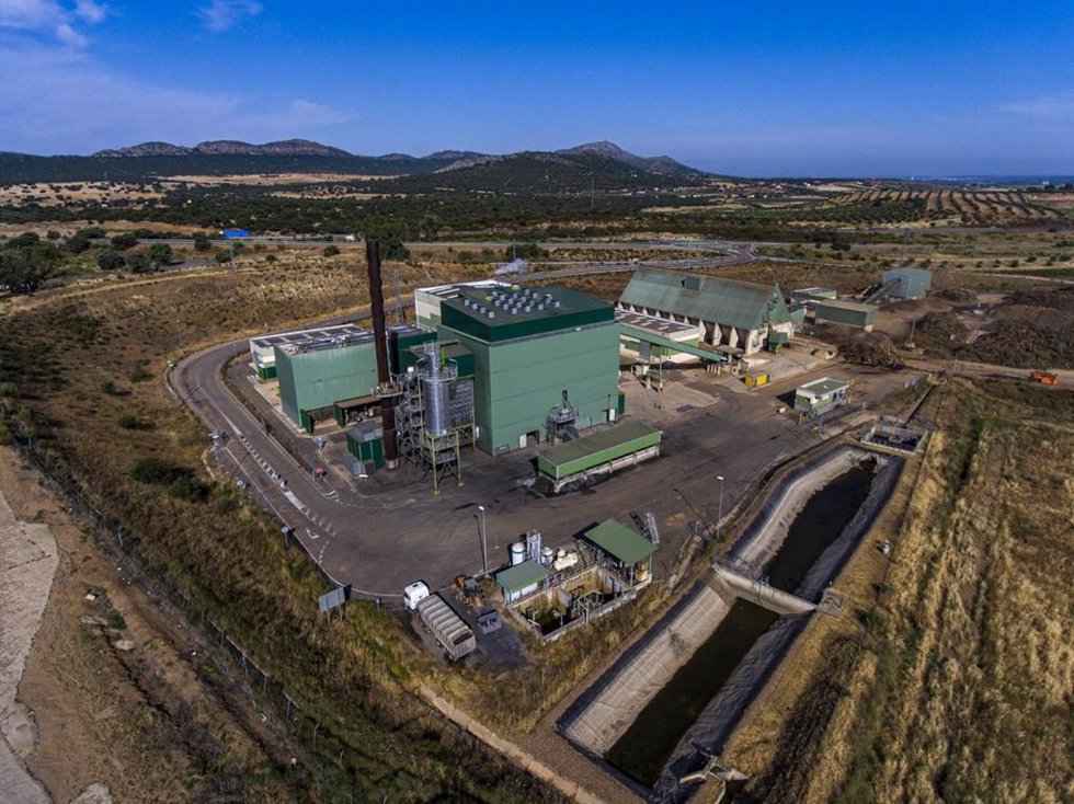 Archivo - Ence, primera empresa de Europa en certificar la sostenibilidad de su biomasa con el esquema Sure