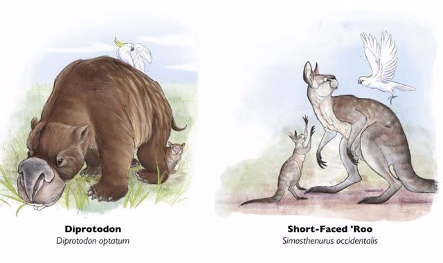 Ejemplos de megafauna extinta de Australia