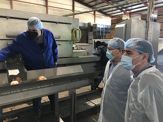 El delegado del Gobierno en C-LM, Francisco Tierraseca, en su visita a la empresa Cebollas Quintanar SL