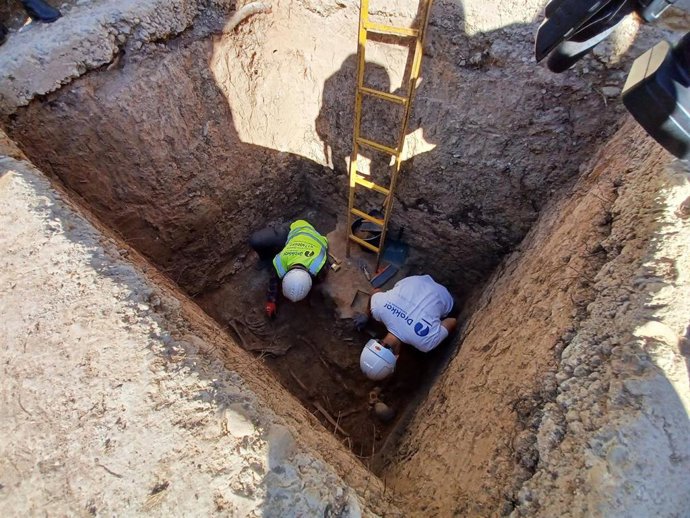 Las exhumaciones en el Cementerio Municipal de Alicante han localizado los primeros restos de víctimas de la represión franquista en los trabajos realizados en las fosas 20 y 36,