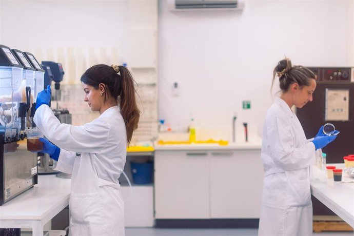 Archivo - Un estudio liderado por la UVic-UCC y la URL ha analizado el sesgo de género entre el Personal Docente Investigador durante la pandemia