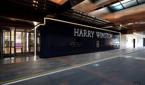 Comunicados Internacional