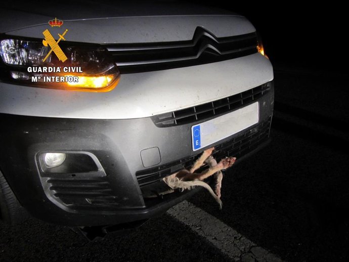 Perro atrapado en el interior del vehículo.