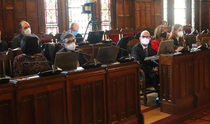 Ana Cárcaba, en una comparecencia de la Comisión de Hacienda