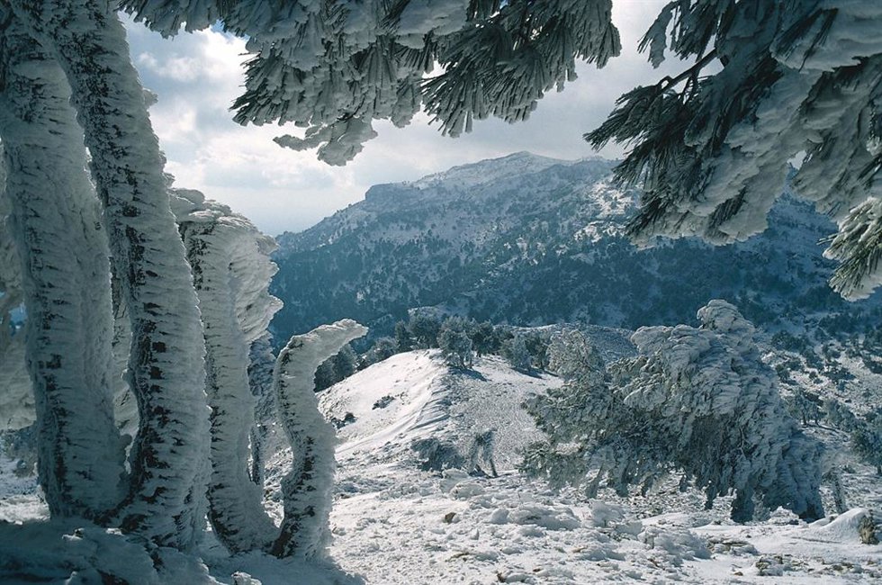 Espacio Natural de Sierra Nevada