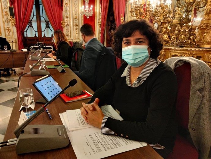 Carmen Álvarez, diputada provincial de IU.