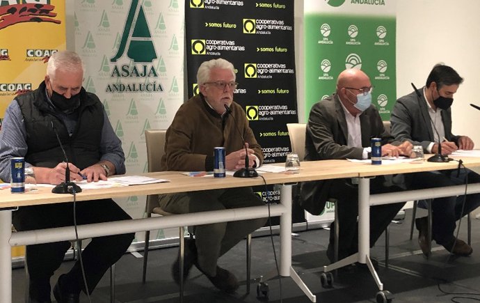 El sector agrario andaluz, representado por Asaja, COAG, UPA y Cooperativas Agro-alimentarias de Andalucía, anuncia movilizaciones en Córdoba y Sevilla.