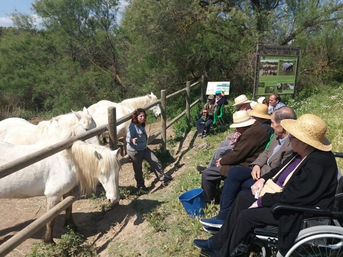 Proyecto Estimula+: explorando los beneficios para la salud del contacto con la naturaleza en la Reserva Natural de Sebes