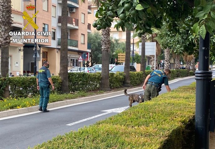 Agentes de la Guardia Civil con canes