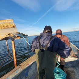 Jornada de limpieza de fondos marinos del Mar Menor