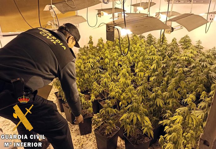 Plantación desmantelada en Laroya (Almería)