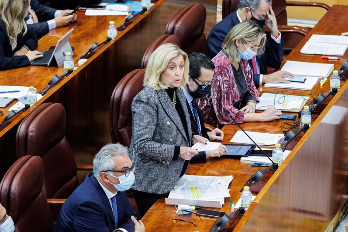 La consejera de Familia, Juventud y Política Social, Maria Concepción Dancausa Treviño, interviene en una sesión plenaria en la Asamblea de Madrid, a 9 de diciembre de 2021, en Madrid, (España). Durante el pleno se ha aprobado la mayor bajada del IRPF d