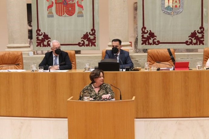 La diputada del IU en el pleno del Debate de los Presupuestos