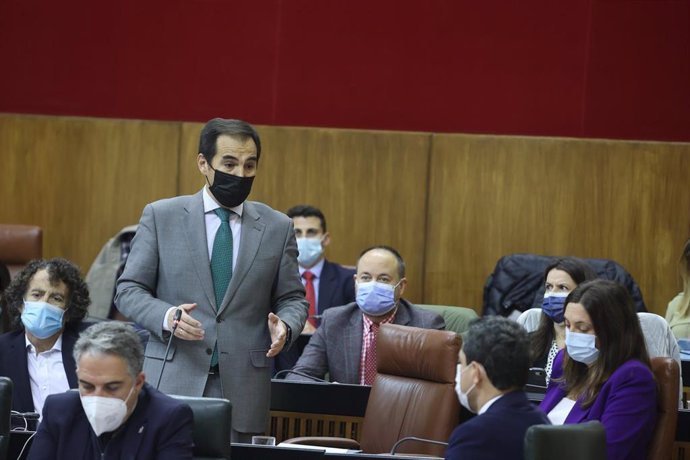 El portavoz parlamentario del PP-A, José Antonio Nieto, durante la sesión plenaria de este jueves.