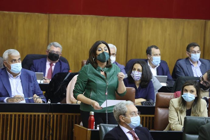 Angeles Férriz, este jueves en el Pleno del Parlamento