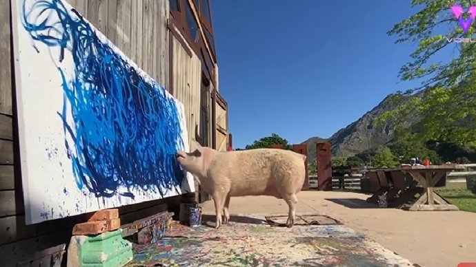 Se vende por 20.000 libras la obra de un cerdo