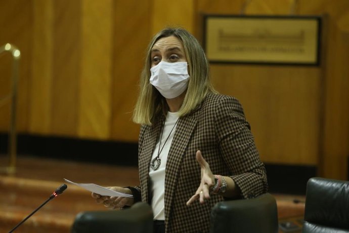 La consejera de Fomento, Marifrán Carazo, en la sesión plenaria de este jueves.