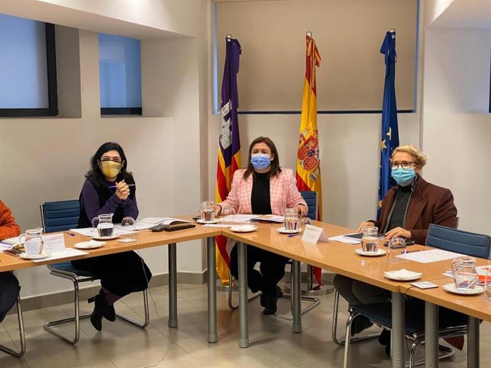 Pleno del Consejo de LGTBI.