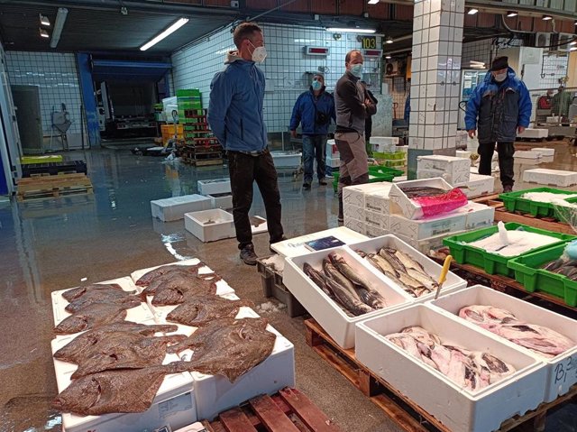 Mayorista del pescado y marisco expone sus productos en Mercabilbao.